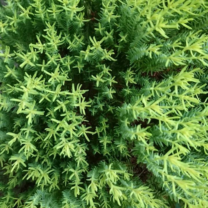 Ba13edeb 7c6c 4e9b 8972 d449f9305992