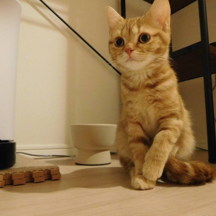 Ba14df1b 673b 4899 b75e 9d0876369c04