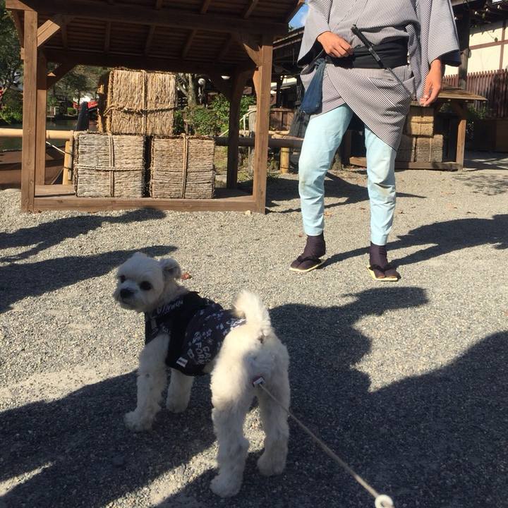 Ba17556a 4e35 4655 a501 ac27f3eefb29