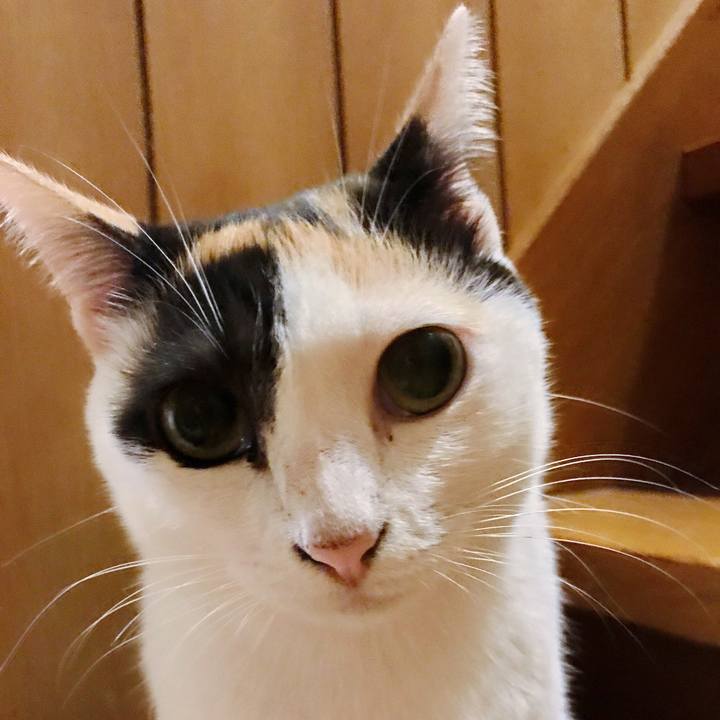 Ba18ddbd cc48 4642 b012 46dde6b0d62c