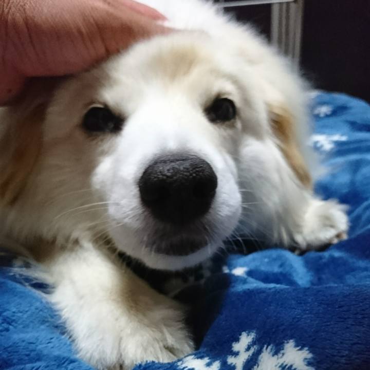 Ba18f9d4 572f 4d29 923e a10b67eeb14e