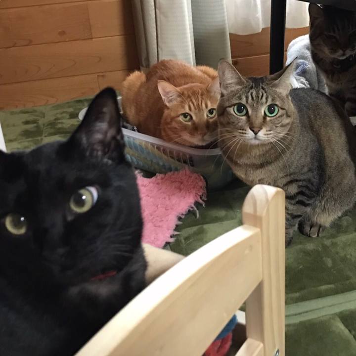 Ba19008a 4eee 4a6f 97fb b0ab8ccffd96