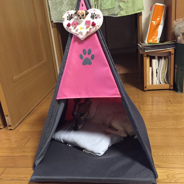 Ba196b8b 337f 42af 8c1c 47fbca15e9fd