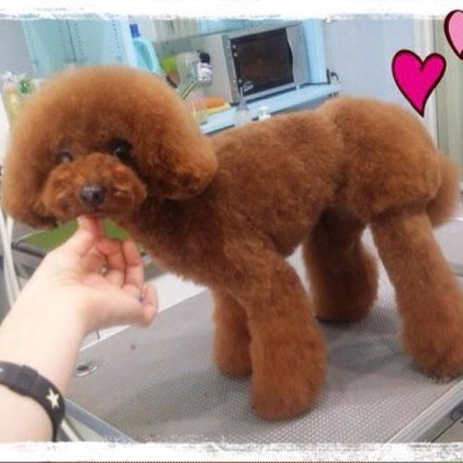 Ba19f16a 4ed0 47fa b892 cb901ec09d97