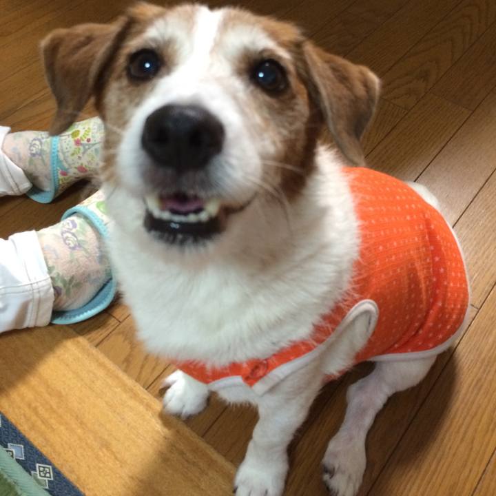 Ba1a2c3e a0ba 4973 9eec d41aae830db3