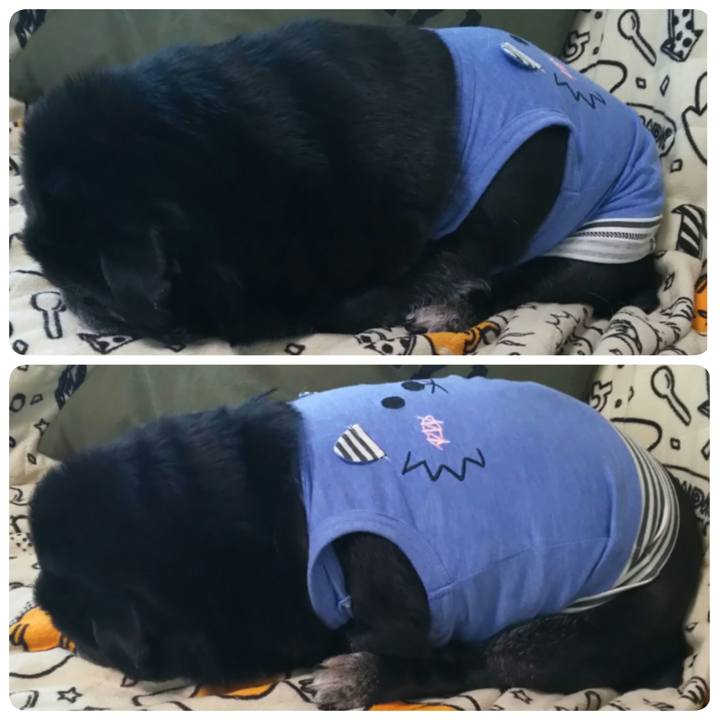 Ba1b041c 9b96 4dd6 9695 31dc2bdc956e