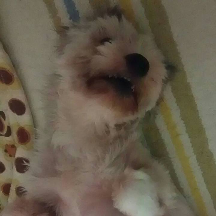 Ba1b5e63 e478 4c67 b22e 9c38d6e3aca4