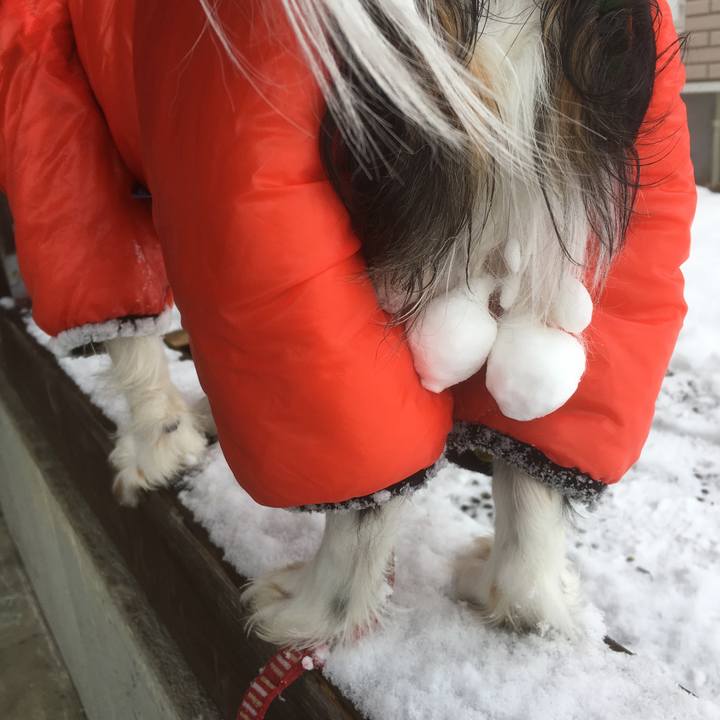 Ba1b6566 09e7 46d4 85e1 daffc878ce3d