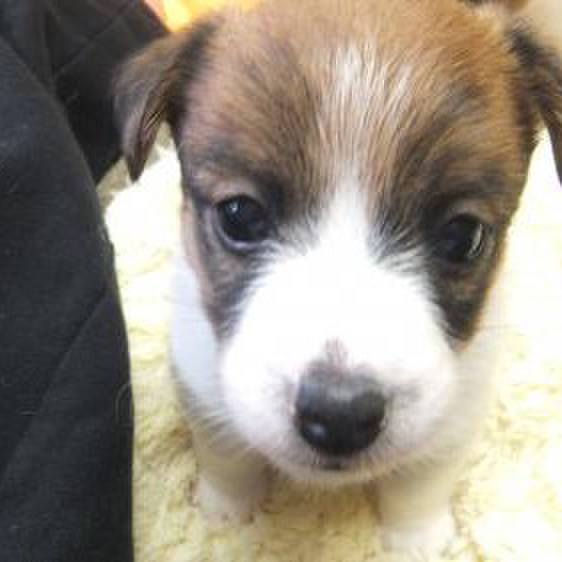 Ba1b9e05 aa37 430a 8cae 0c642db72166