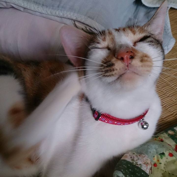 Ba1ca9c1 e7d3 4e3f 9e48 7b6ecb8fcc82