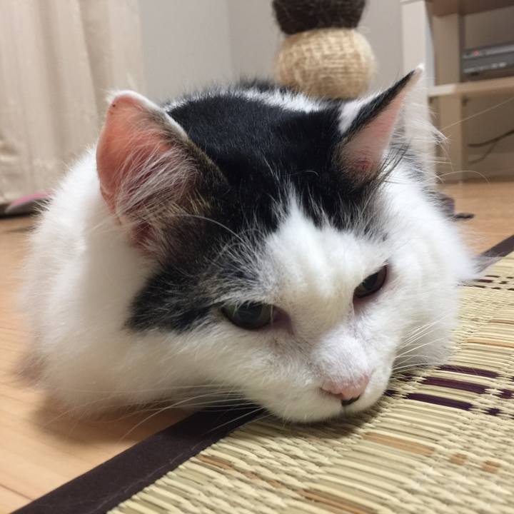 Ba1cba05 4f1d 4d9e 8b16 98f0288a774d