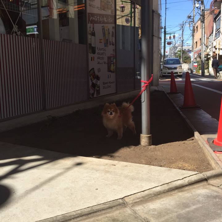 Ba1cde10 ef15 48a6 8fa9 2ab7e018d2d7