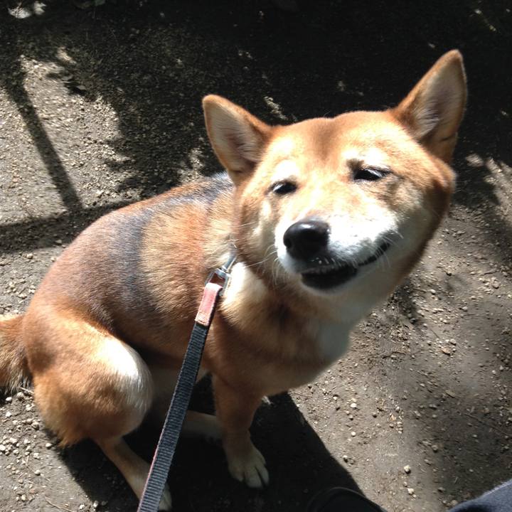 Ba1d2f6e b4e1 484a a94c 6193b2552714