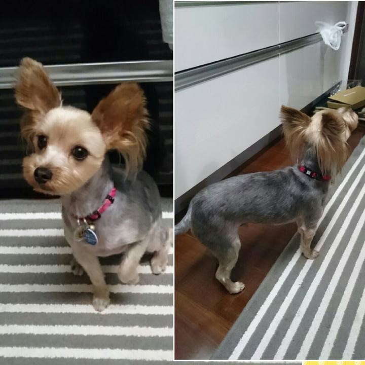 Ba1d5cae 27b4 4ae2 9bd2 85084cc3289a