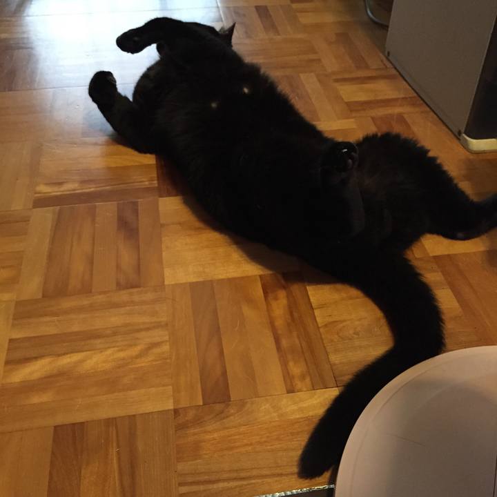 Ba1d7667 977c 424e 9242 85b67df779ff