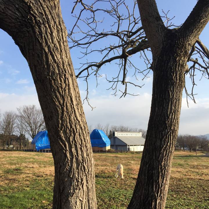 Ba1df1e9 cb65 40f7 9f18 7e99ef2029bd