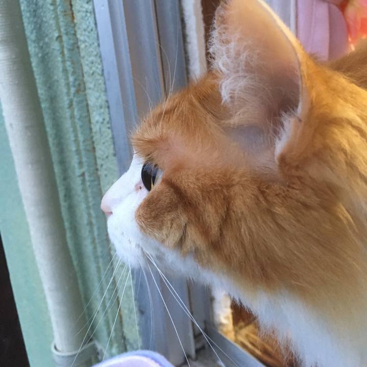 Ba1df512 b4ec 4ada a418 77be9bd79f59