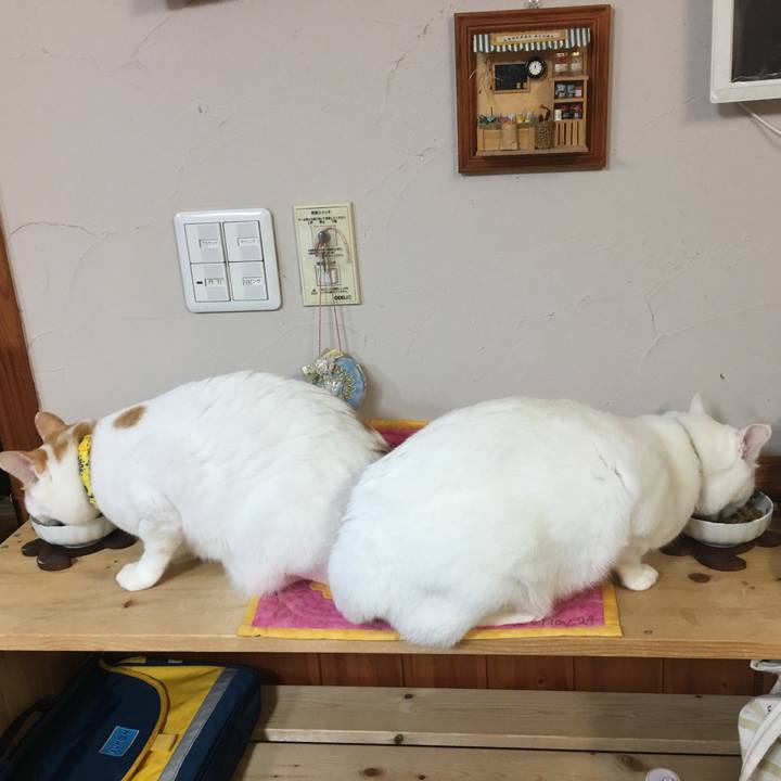 Ba1e6510 9c5c 435e a2e1 cdc4609e2c52