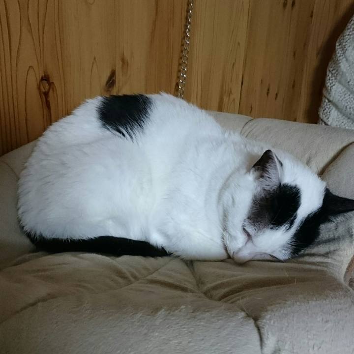 Ba1e9704 f371 4b08 b1ab 4152d6722cd7