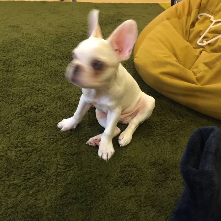 Ba1e9c30 97e8 4ed4 b9d8 102239a07cf1