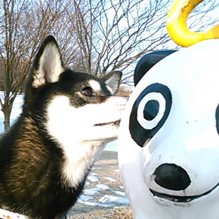 Ba1eb16d dc34 459a 945f af6287fe6c80