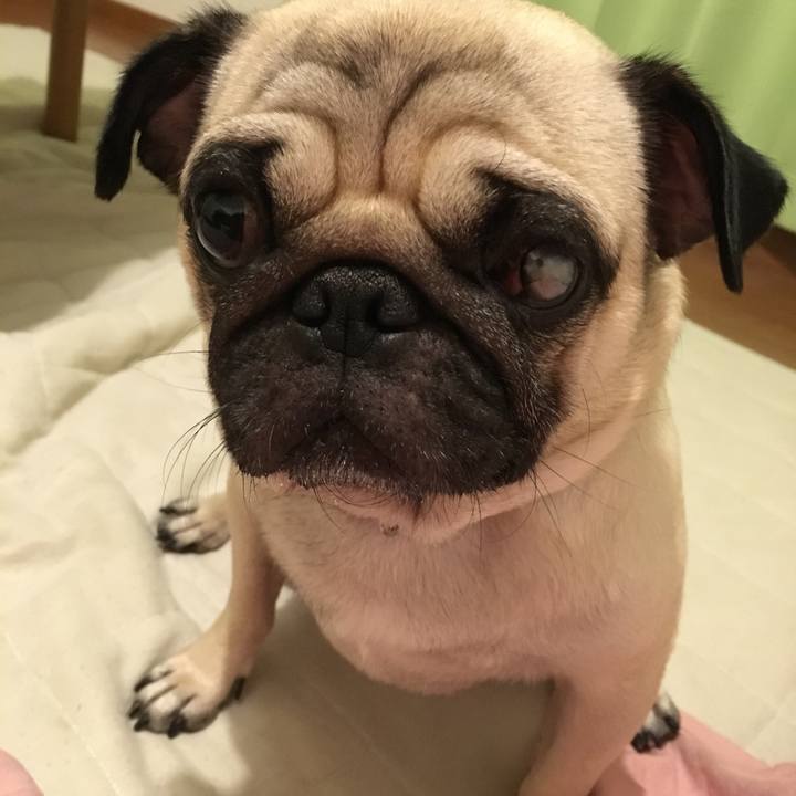 Ba1ecb35 f4f8 4b1f a100 85ab032d3e84