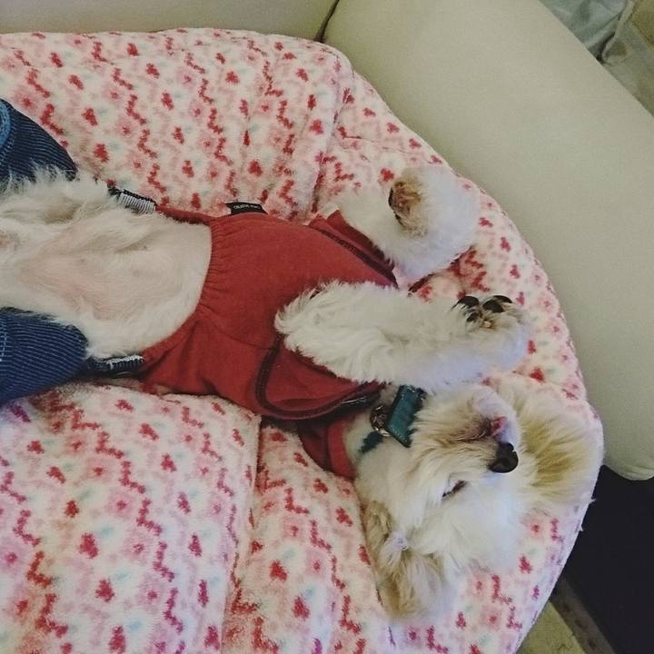 Ba1f0a07 2ce1 45e9 a6e1 ff8a9fc4c4fa