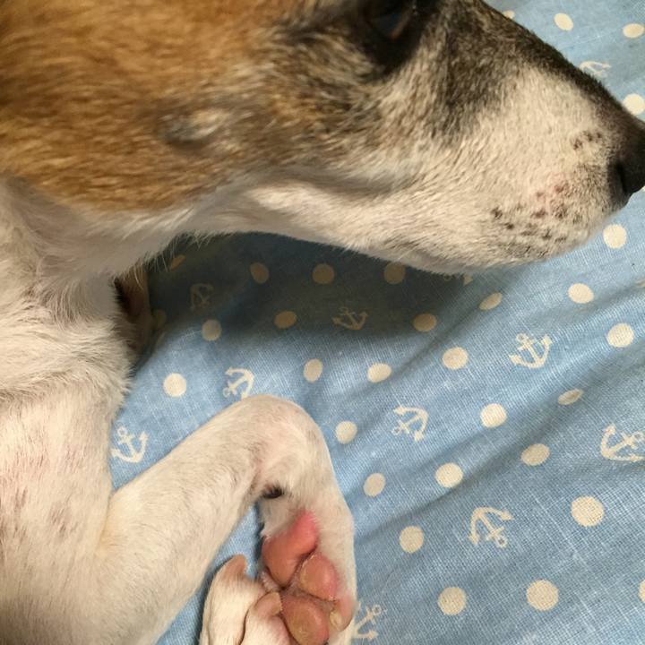 Ba1fd600 fe6d 4261 81af b14f0bfd8817