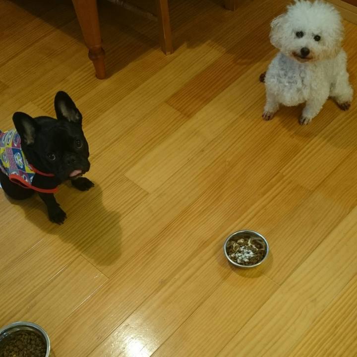 Ba1fed1e 11c7 4687 9e8c d8bc6353cd6a