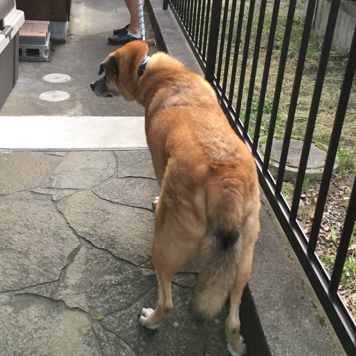 Ba2020c7 2eae 4203 8772 e9f949251274