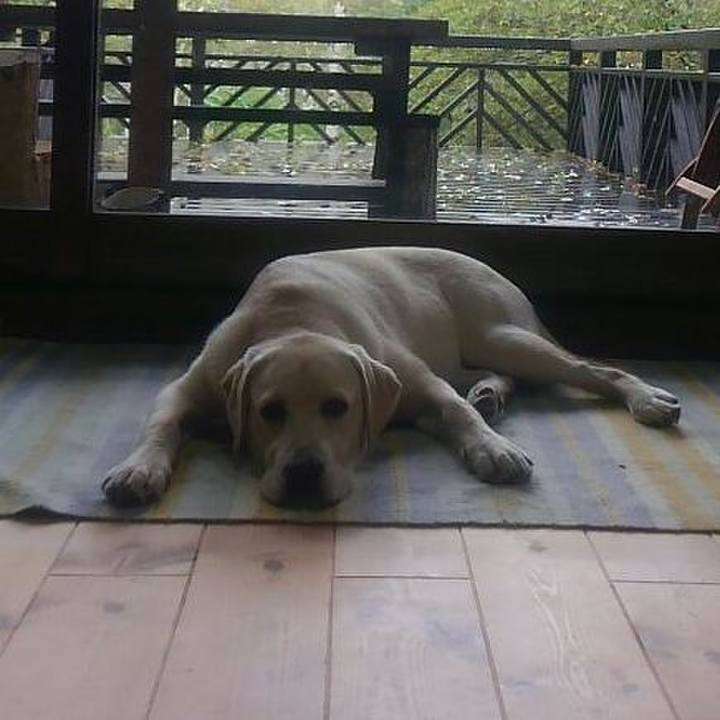 Ba2048bb 4415 4d26 8d9d 98902f153ab3