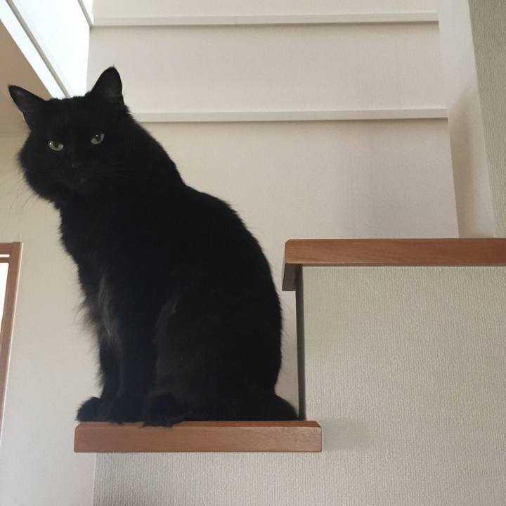 Ba207d71 0799 4e49 b883 8aa6b99e5a4b