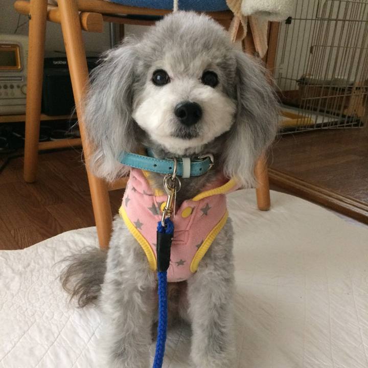 Ba20ca6f 888e 40b0 892a afbc2e4c2453