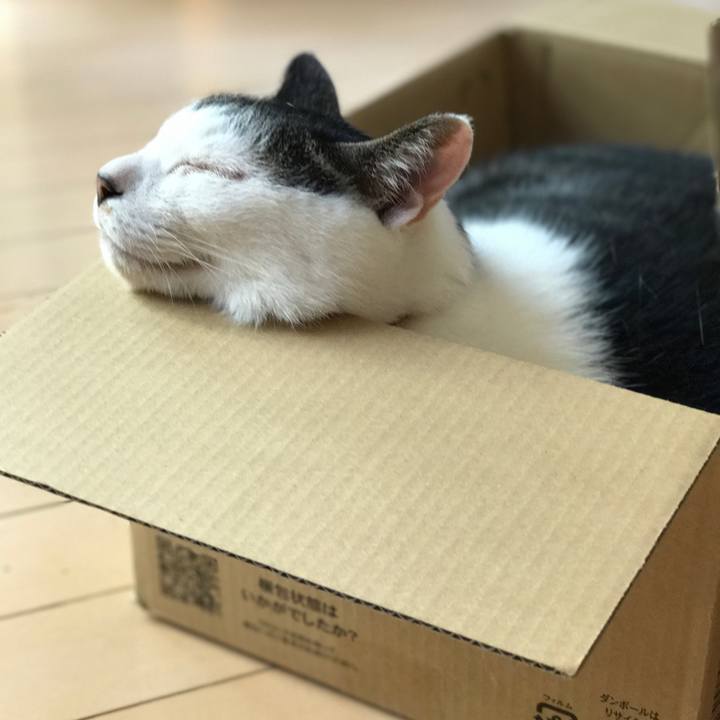 Ba20eab3 775c 468b b67c 0aee2179e87b