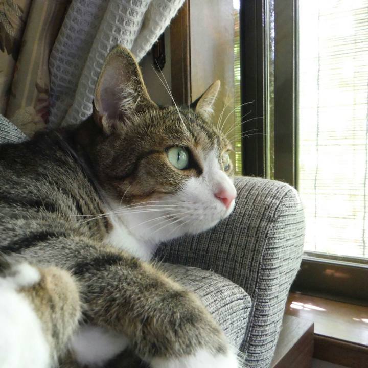 Ba211ef8 5f2f 4e97 8c49 bac8907eb095