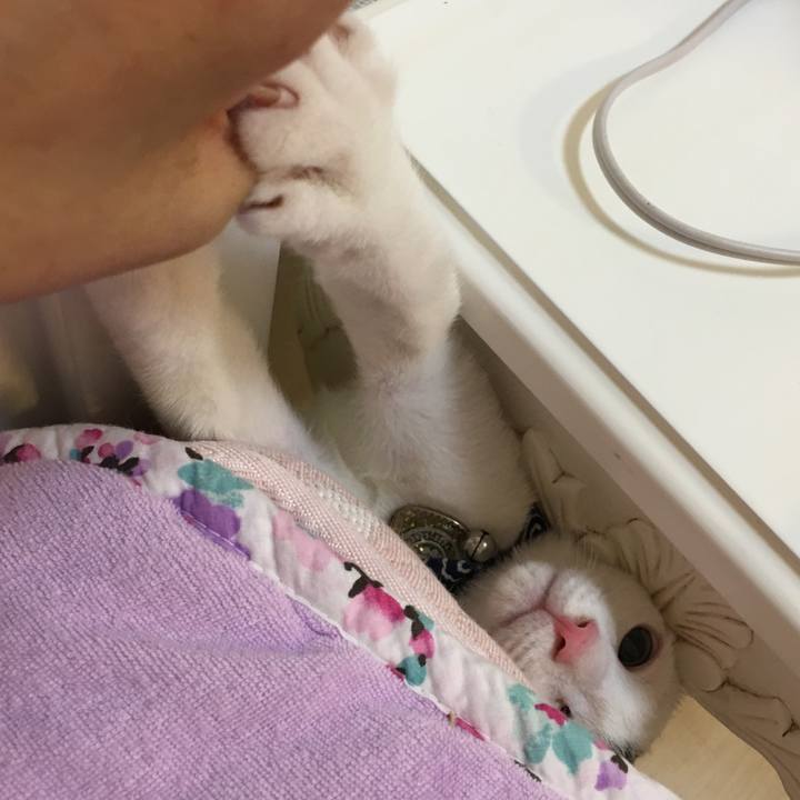 Ba219c55 b8bc 4c85 9e8f c7ce714b3679