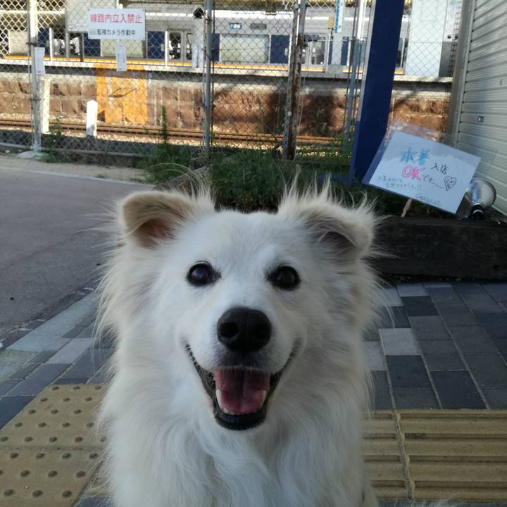 Ba21dd43 89bc 48a5 b0e9 e1f120157f14