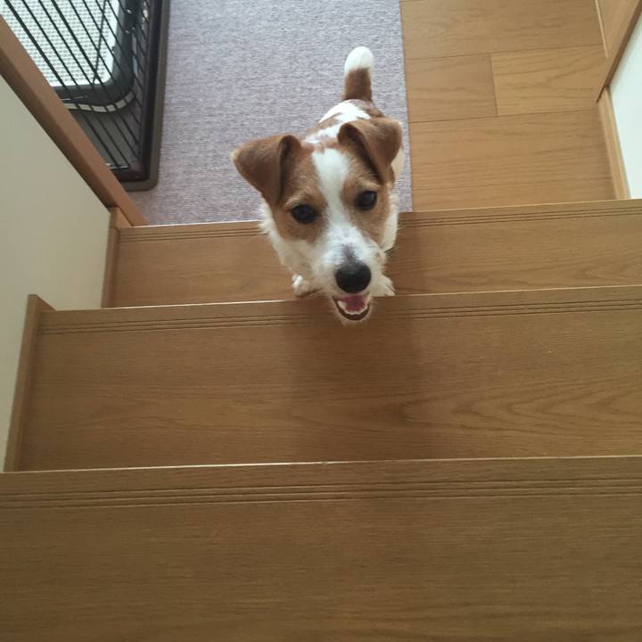 Ba224283 6e88 409f a628 3ea425d7738d