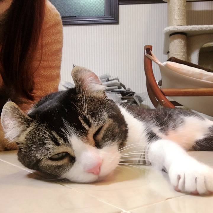 Ba22854c 6a31 4ca4 9c3e 9d2e83272429