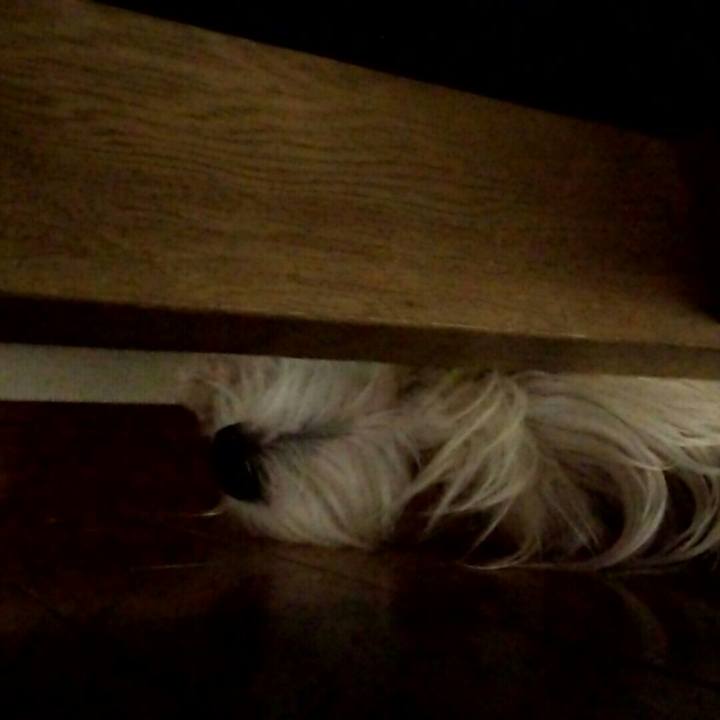 Ba228e08 d7ef 414d 98f1 4a93d3dc44db