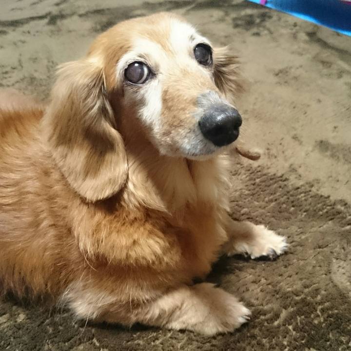 Ba22a64d eea6 442c 9ff4 b2ec8fadaa97