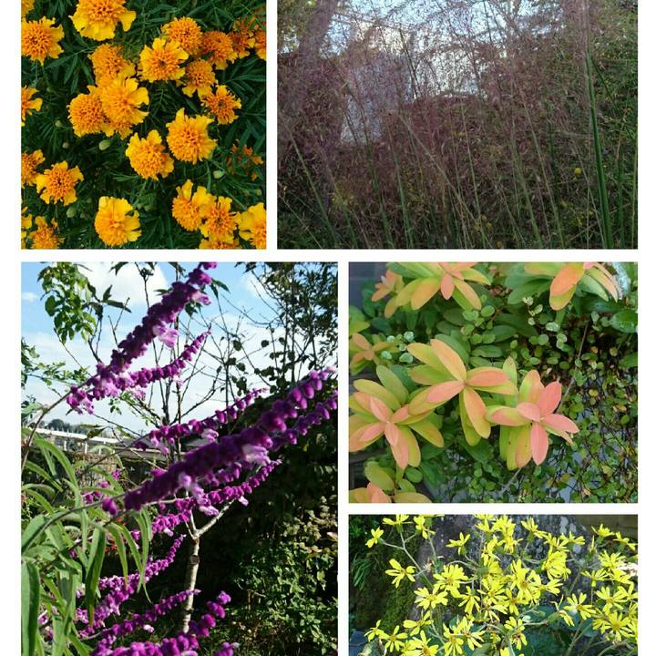 Ba22d2d0 49bf 4e01 9cc8 028d8cd7e72d