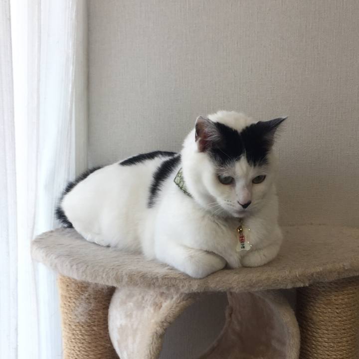 Ba2320e1 ae2c 4a75 ad72 db615cd4061e