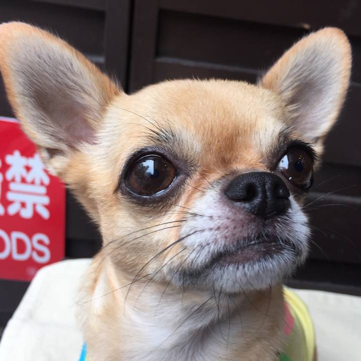 Ba237991 15e4 4782 a271 2292c9d7d59e