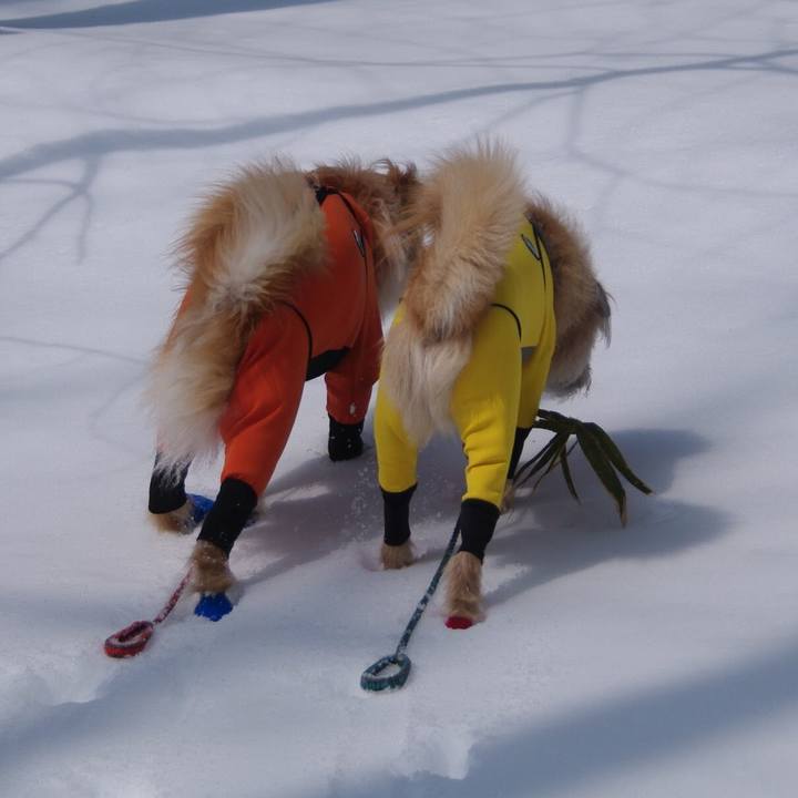 Ba23c05b 712f 42f7 8e13 cce371bd9425