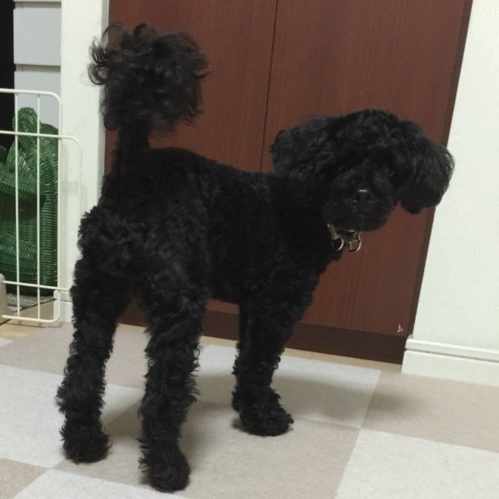 Ba23fe84 dea0 4d05 9bc9 caaaa675f033