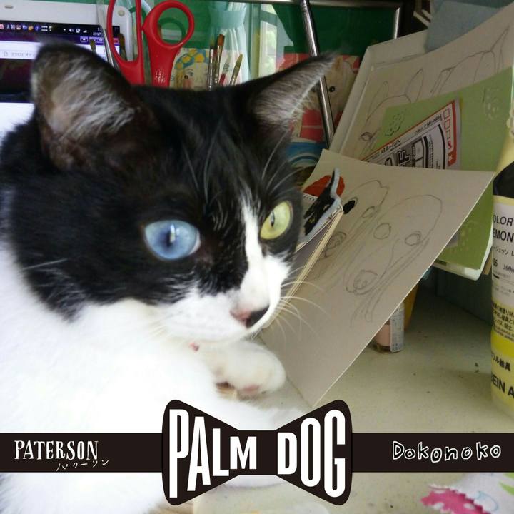 Ba24a019 2543 47c1 8304 02a5bb5ca8e7