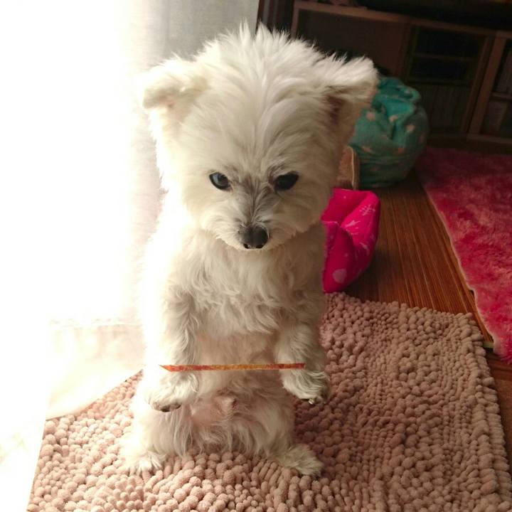 Ba254bd9 439b 44c1 b081 52890bd807b0