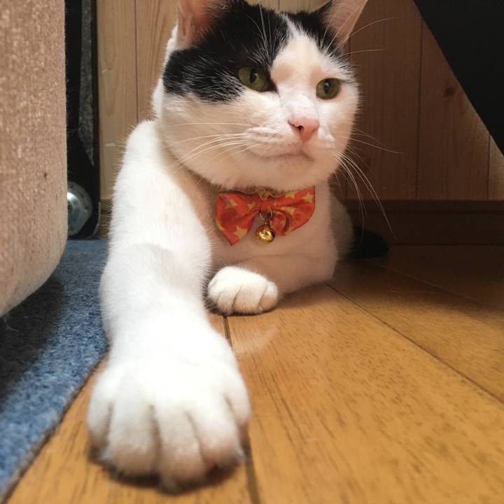 Ba261b75 bc70 4c85 ab09 116bdfba865a