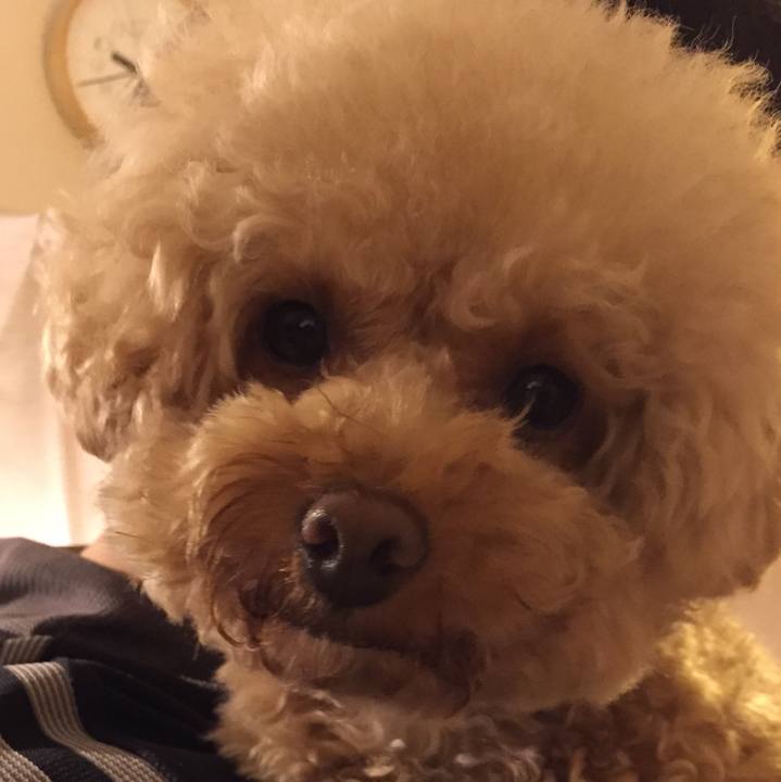 Ba26ad84 82bc 4c1d 9996 8aeee0862ba9